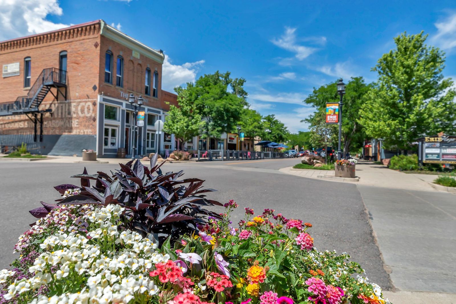 Downtown Erie's historic main-street blocks in full summer bloom