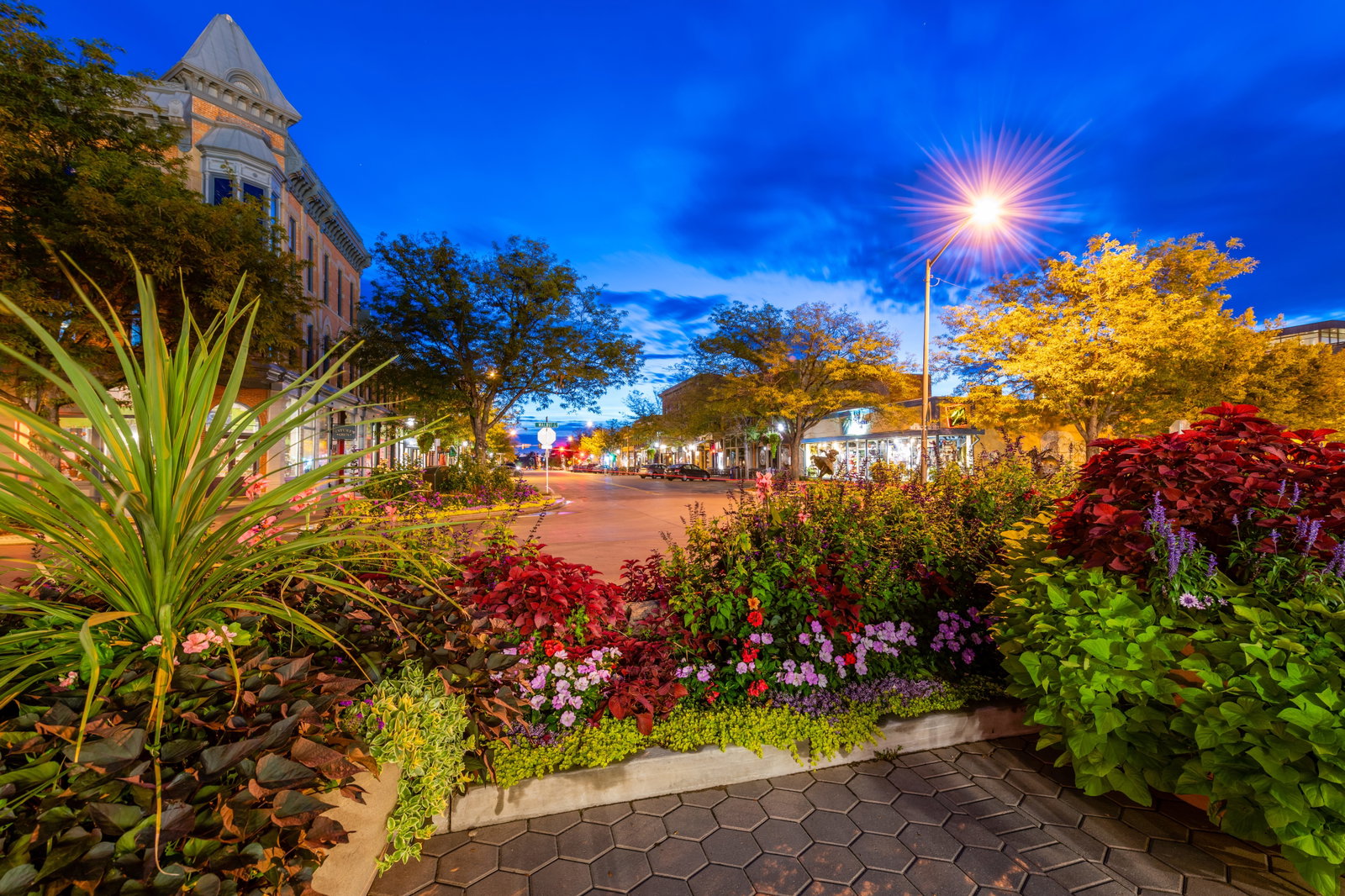 String lights over Fort Collins Old Town Square at dusk
